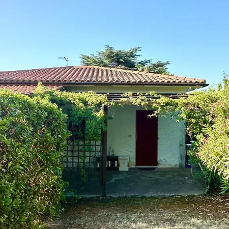 Appartement Numana, Nuova Con Giardino N183 *