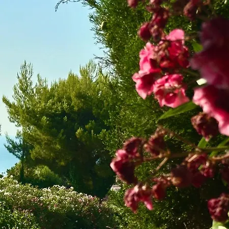Appartement Numana, Nuova Con Giardino N183 Numana